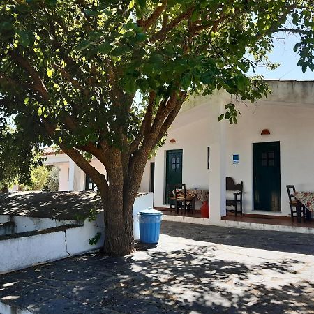 Horta Do Muro Guest House Campo Maior Luaran gambar