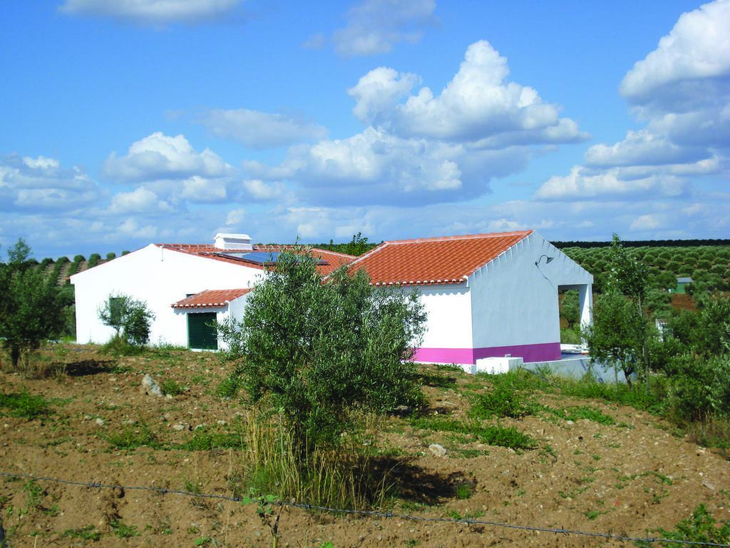 Horta Do Muro Guest House Campo Maior Luaran gambar