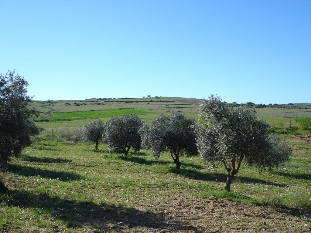 Horta Do Muro Campo Maior Luaran gambar